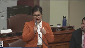 St. Paul lawmaker's immigration comments cause firestorm