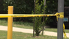 Victim shot while driving car in eastern Travis County