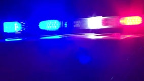 10 cows killed, 1 injured after being hit by semi-truck in Fillmore County